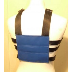 Walking Harness and Reins